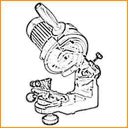 immagine esploso forestale