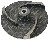 GIRANTE MOTOPOMPA DPT50