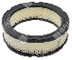 Filtro aria per motori BRIGGS & STRATTON 394018S