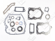 Set guarnizioni per motori BRIGGS & STRATTON 590508 (ex 794307 - 497316)