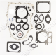 Serie guarnizioni per motori BRIGGS & STRATTON 699823