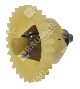 Ingranaggio albero motore per motori KOHLER 1731001S