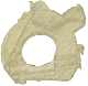 COPERCHIO POMPA OLIO GMP2525